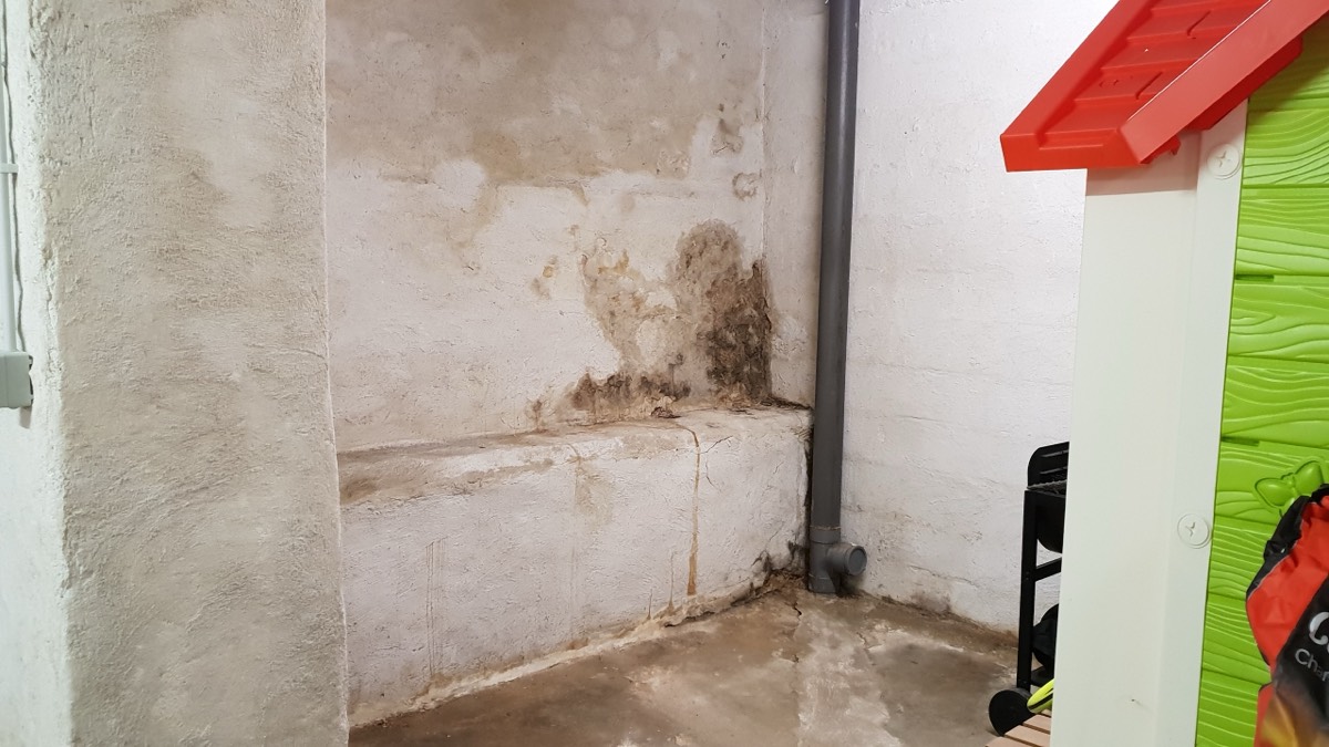 Infiltrations d'eau - Expertise humidité à Niort